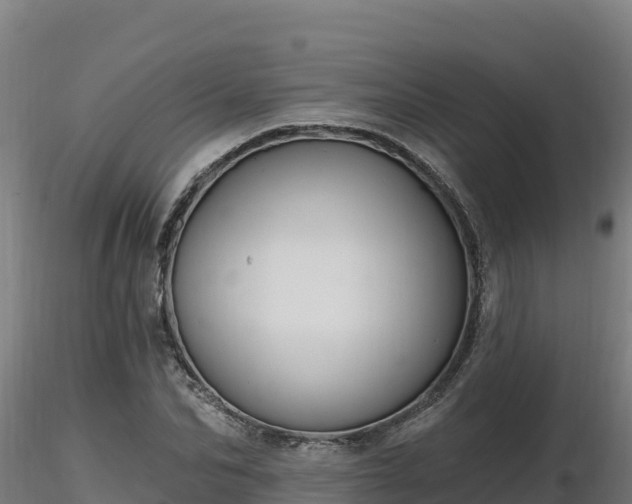 X0000116770974200912241200