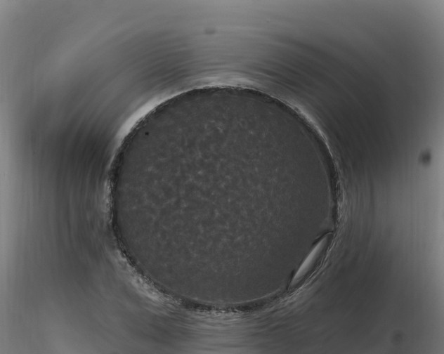 X0000116770975200912241200