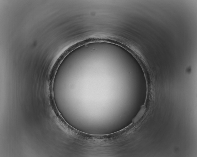 X0000116770976200912241200