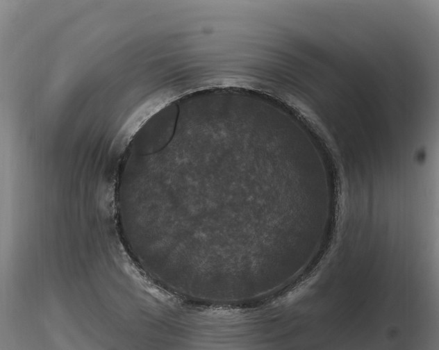 X0000116770977200912241200