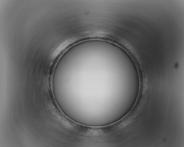 X0000116770978200912241200