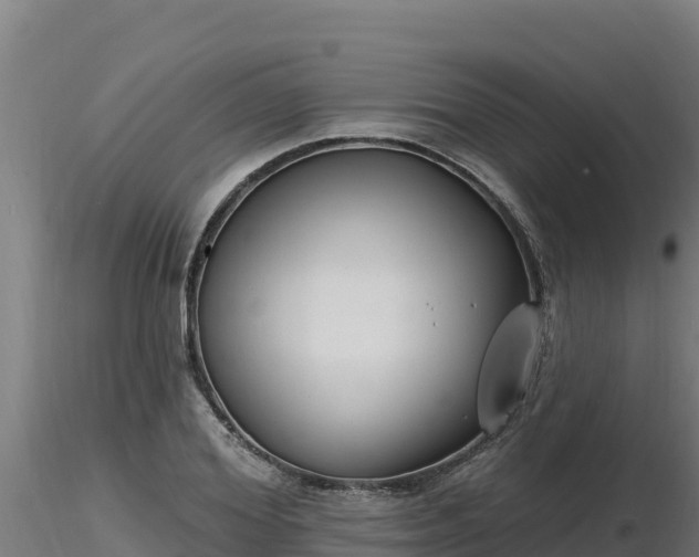 X0000116770980200912241200