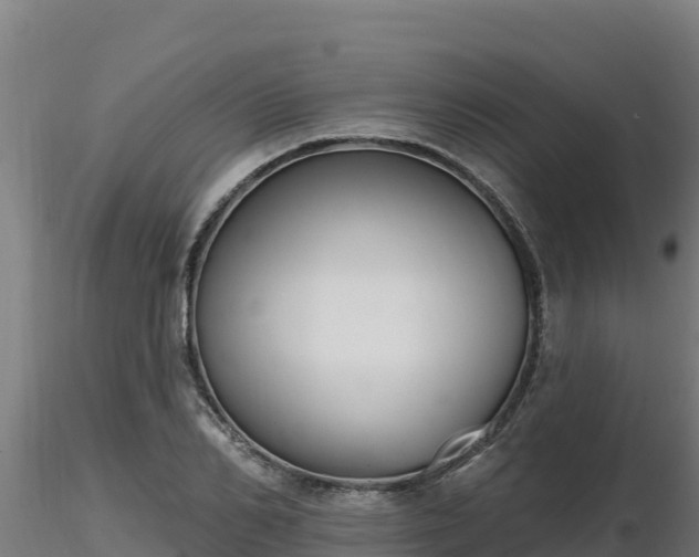 X0000116770982200912241200