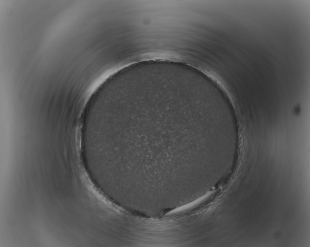 X0000116770983200912241200