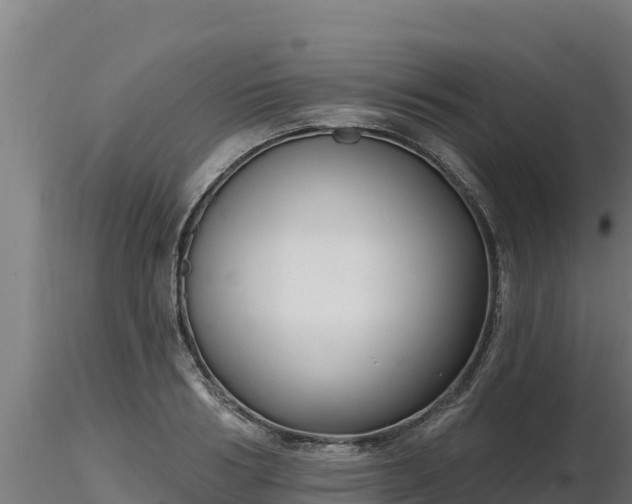 X0000116770986200912241200