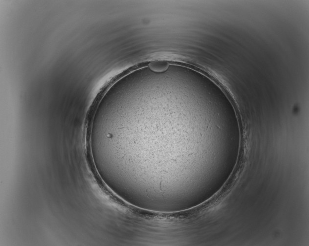 X0000116770987200912241200