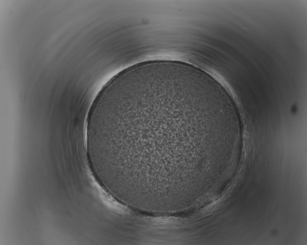 X0000116770988200912241200