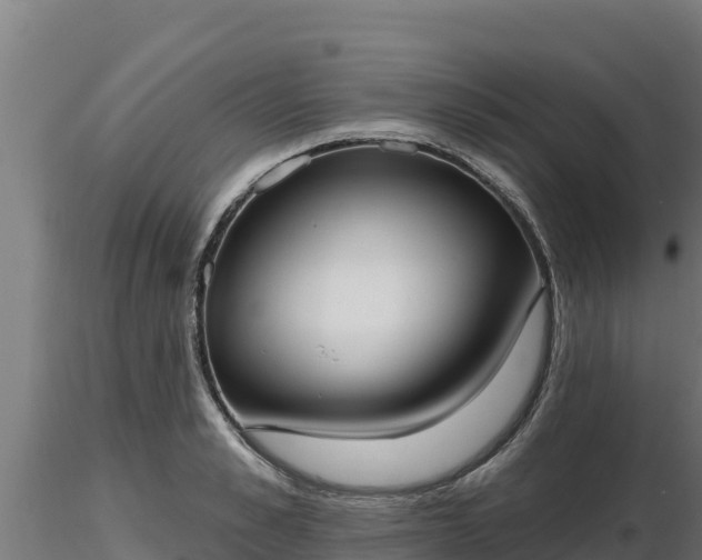 X0000116770989200912241200