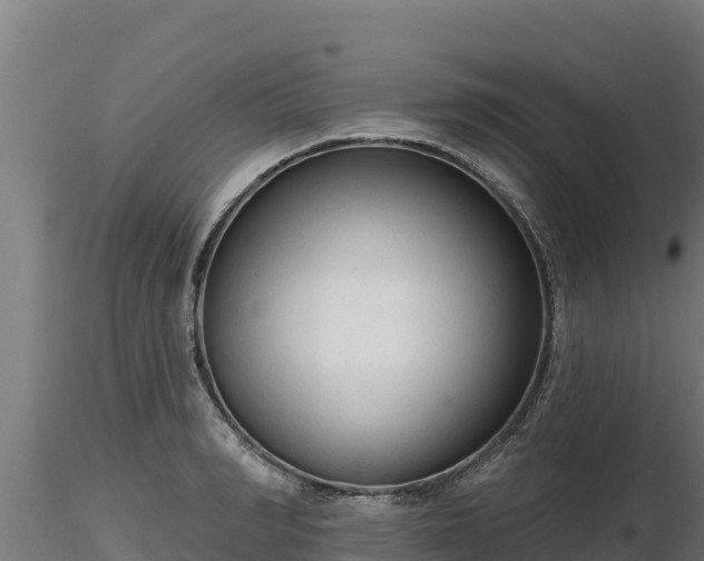 X0000116770990200912241200