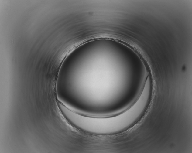 X0000116770993200912241159