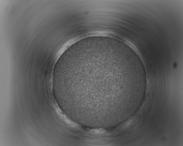X0000116770994200912241159