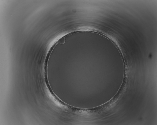 X0000116770995200912241159