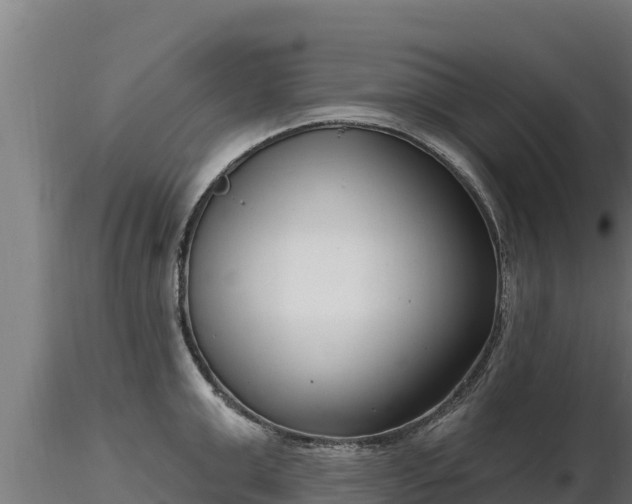 X0000116770999200912241159