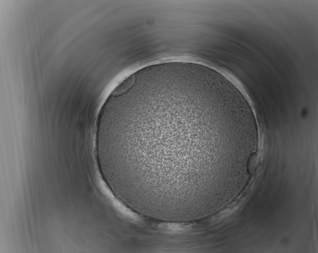X0000116771005200912241159