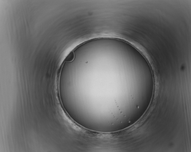 X0000116771006200912241159