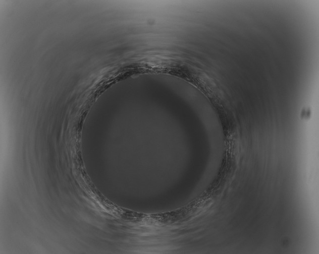 X0000116771009200912241159