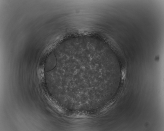 X0000116771011200912241159