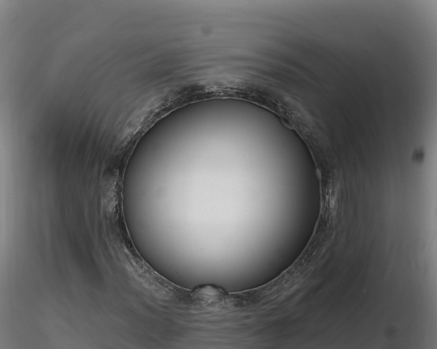 X0000116771012200912241159