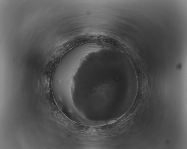X0000116771013200912241159