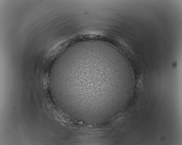 X0000116771014200912241159