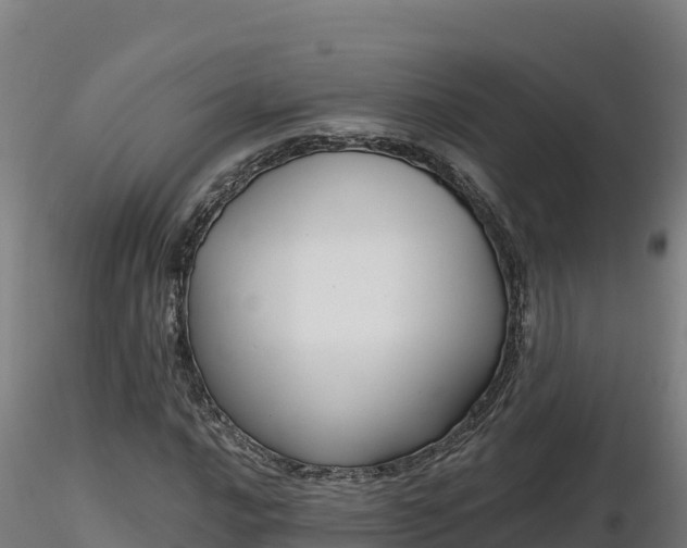 X0000116771016200912241159