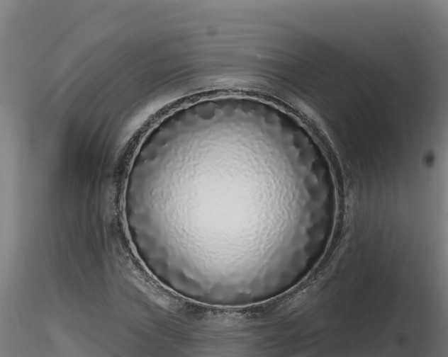 X0000116771019200912241159