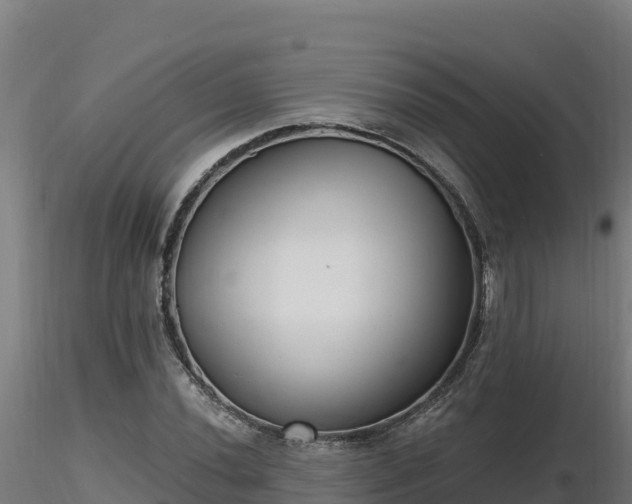 X0000116771020200912241159