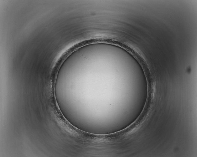 X0000116771021200912241159