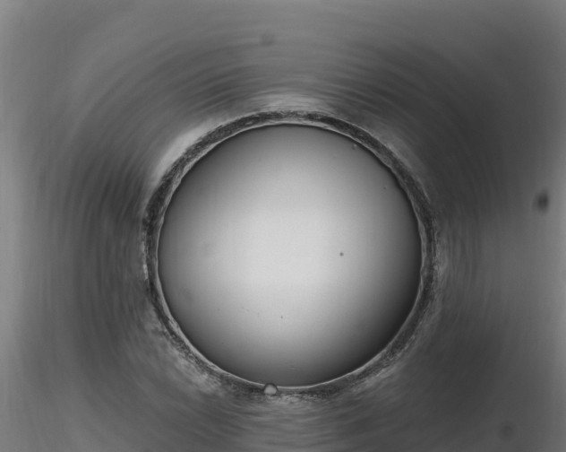 X0000116771022200912241159