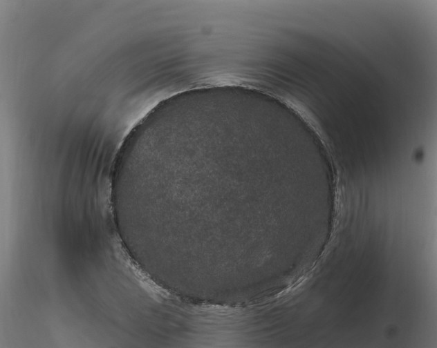 X0000116771023200912241159