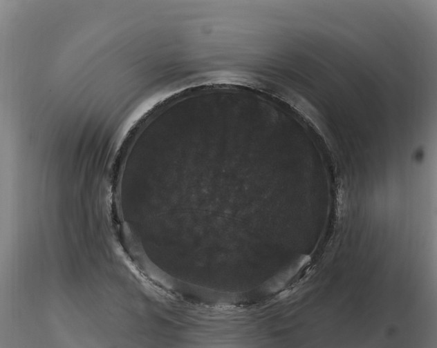 X0000116771024200912241159