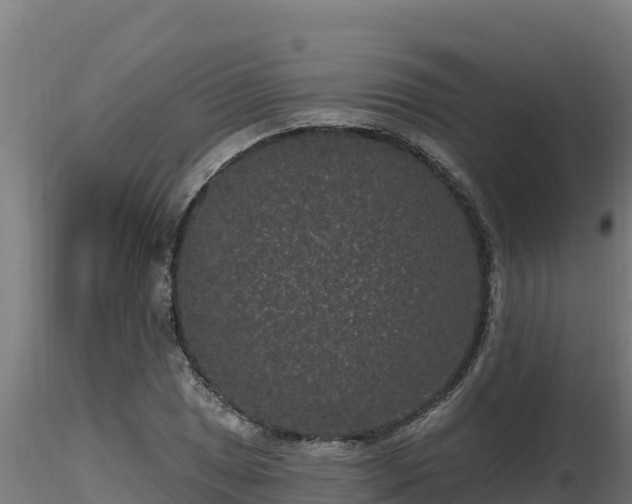 X0000116771025200912241159