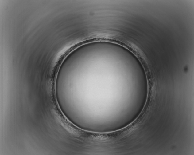 X0000116771027200912241159