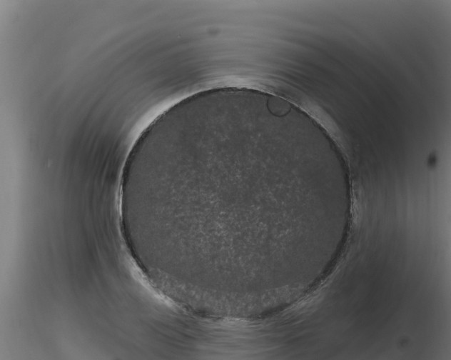 X0000116771028200912241159