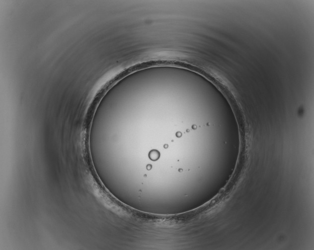 X0000116771029200912241159