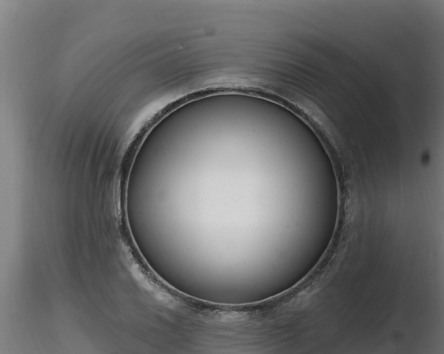 X0000116771030200912241159