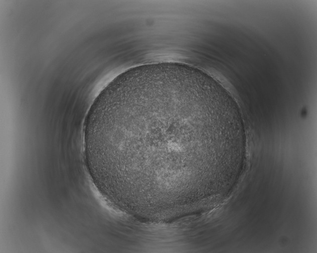 X0000116771031200912241159