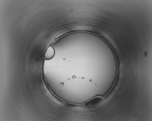 X0000116771033200912241159