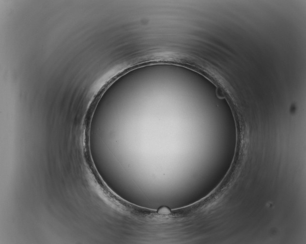 X0000116771034200912241159