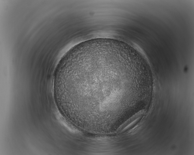 X0000116771035200912241159