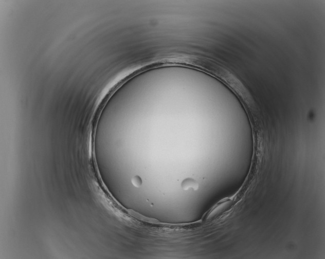 X0000116771036200912241159