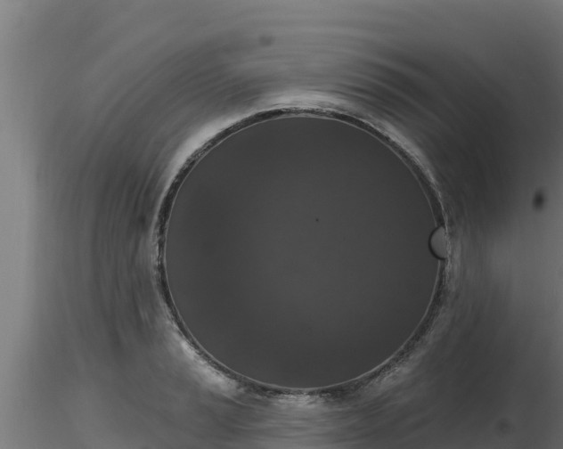 X0000116771037200912241159