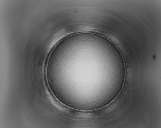 X0000116771039200912241159