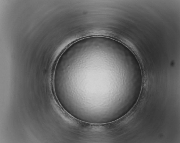X0000116771043200912241159