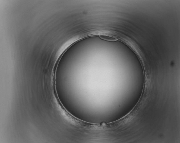 X0000116771050200912241159