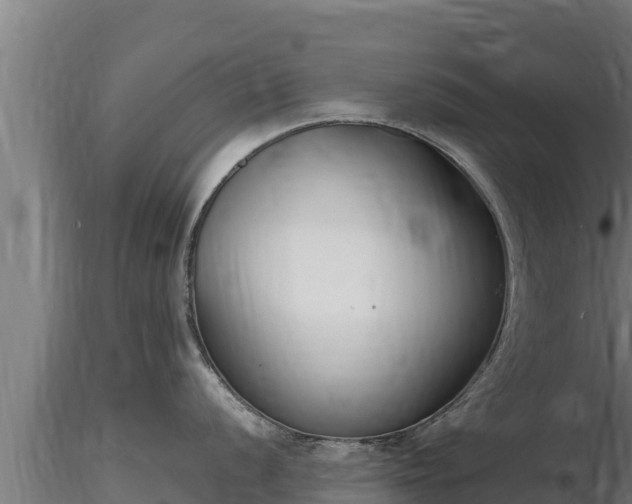 X0000116771056200912241159