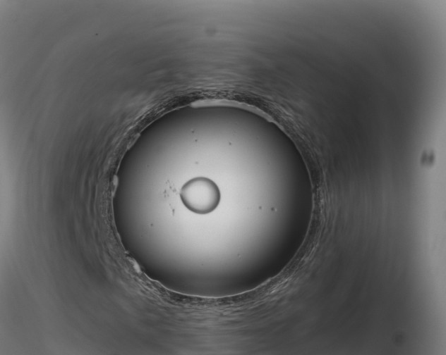 X0000116771057200912241159