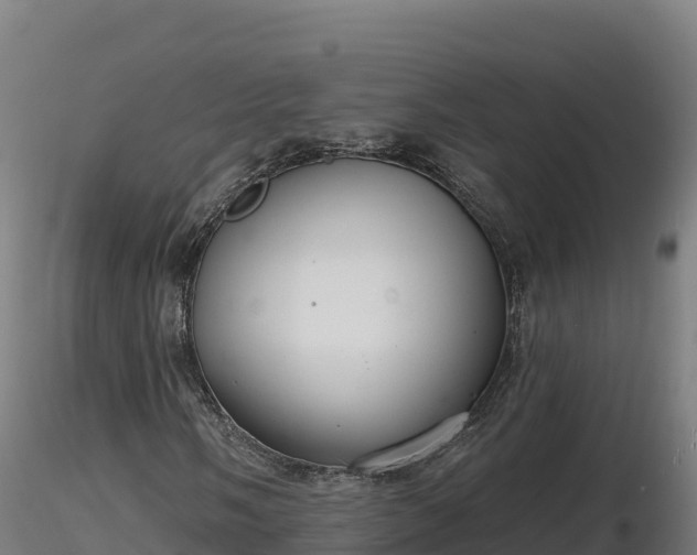 X0000116771058200912241159