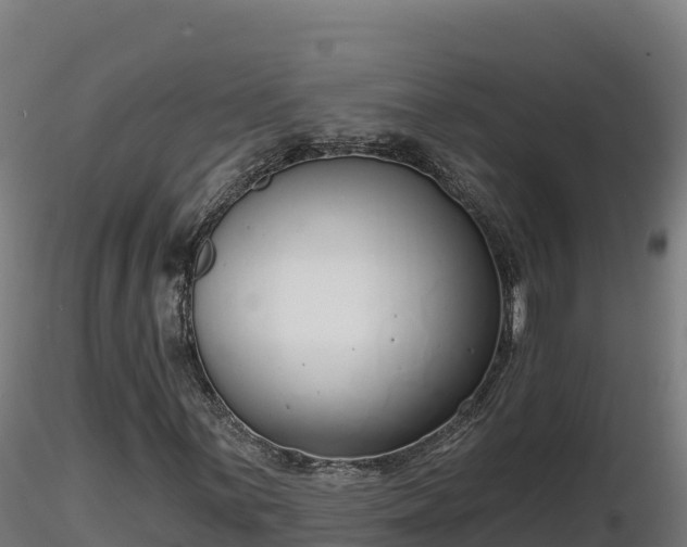 X0000116771059200912241159