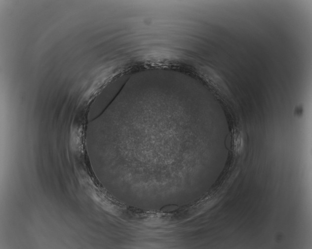 X0000116771060200912241159